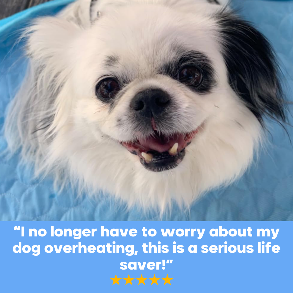 Pet Cooling Mat- Cool Your Pet Instantly