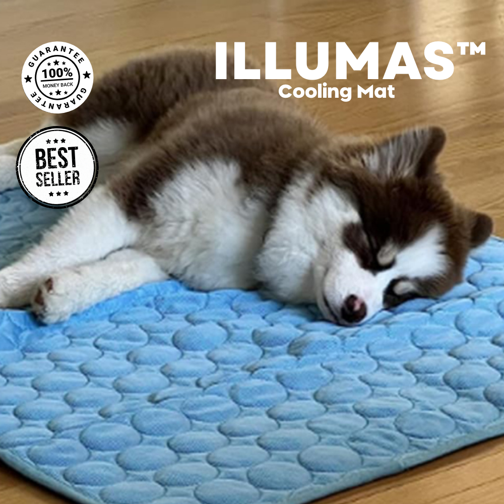 Pet Cooling Mat- Cool Your Pet Instantly